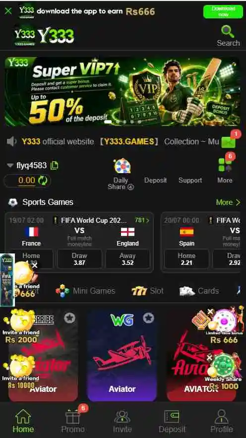 Y333 Game 